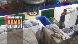 denizden-tonlarca-hamsiyle-donduler