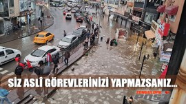 kabahatli-sadece-posbiyik-mi